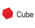 Cube Group Interaktywna Agencja Roku 2009