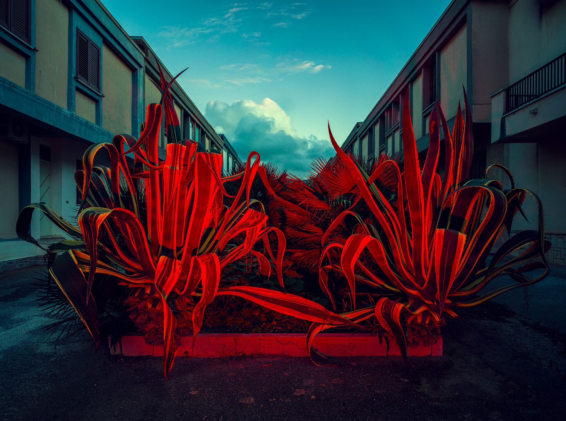 Sztuka pomagania - Co-Kreacje i Aukcja Charytatywna Fundacji Razem z Odwagą 2026