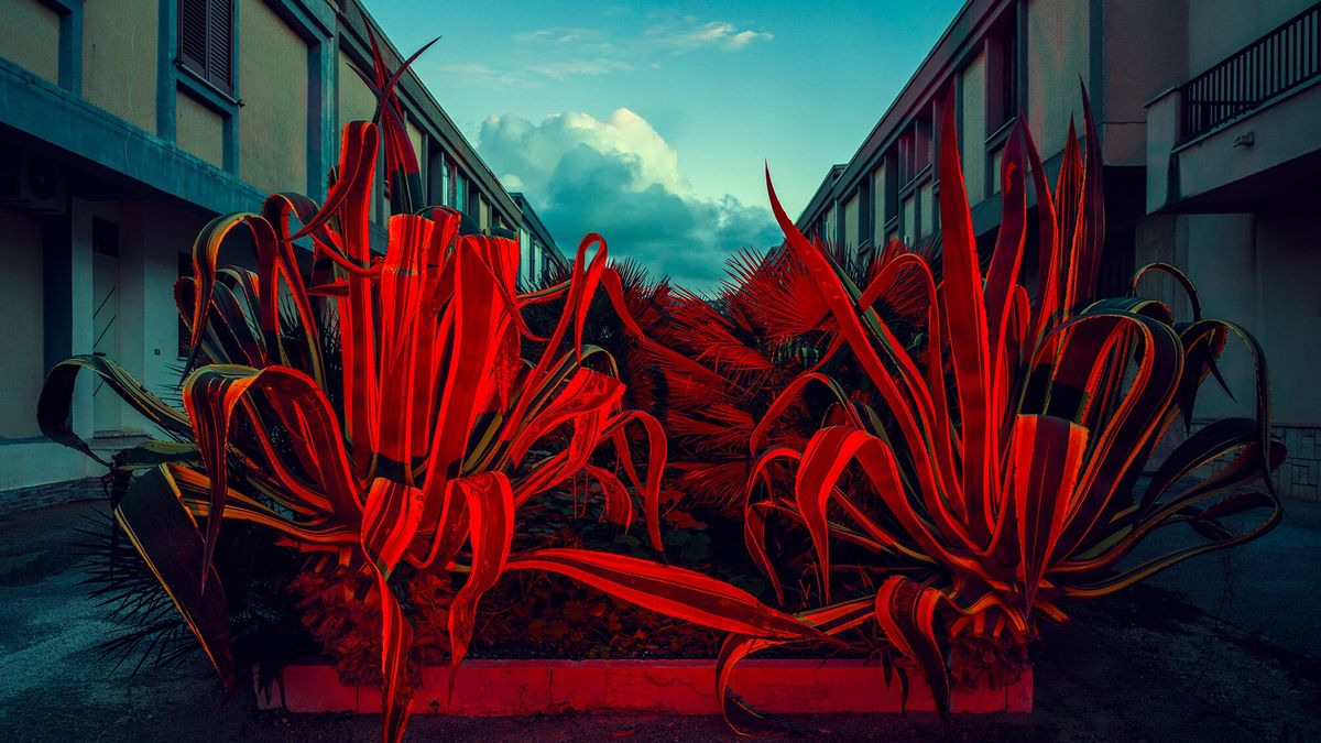 Co-Kreacje i Aukcja Charytatywna Fundacji Razem z Odwagą 2026