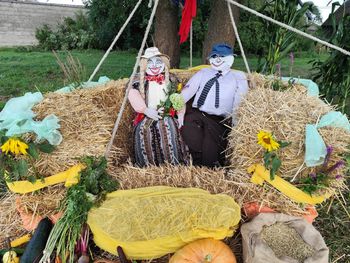 Pomysłowy witacz dożynkowy poszukiwany. Marszałek funduje nagrody