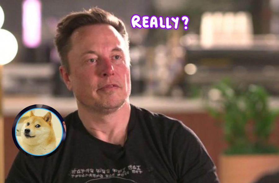 Elon Musk niespodziewanie udzielił obszernego wywiadu BBC.