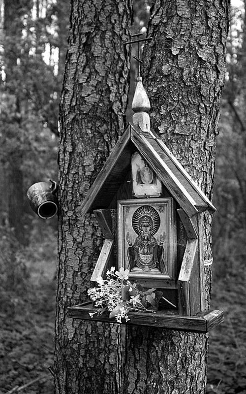 Miękisze: Kwintesencja Podlasia! Wyjątkowa kapliczka nad cudownym źródełkiem. Magiczne miejsce w regionie