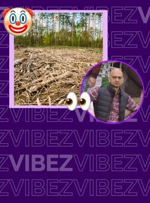 Rzeź drzew w 2023 roku? Wejdą nowe przepisy