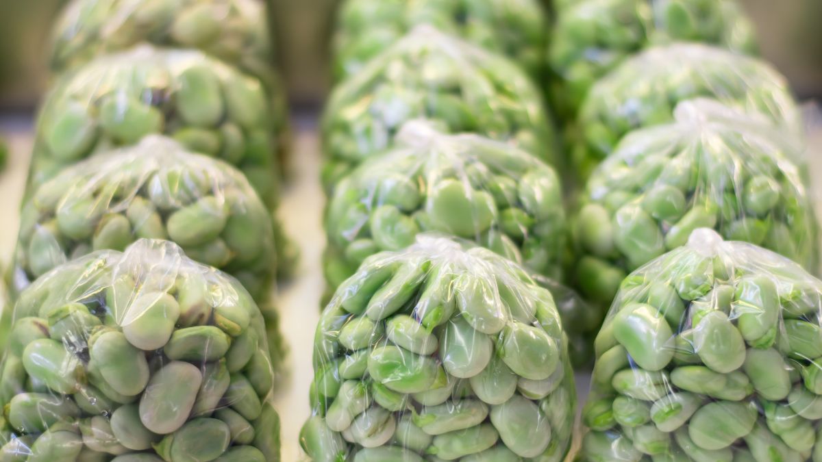 Nieświeży bób rozpoznasz bardzo szybko