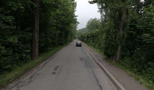 Bielsko-Biała. Okrojona rozbudowa alei pod Szyndzielnię. Wymagałaby wycinki wielu drzew