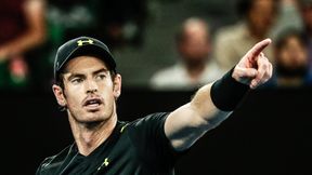 Andy Murray: Kostka boli, ale wszystko z nią w porządku
