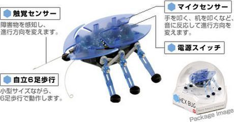 Kolorowe robale z Japonii atakują! 1