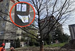 Wielka akcja w Krakowie. Dzieci nie odpuściły. Udało się