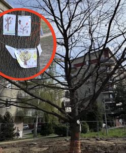 Wielka akcja w Krakowie. Dzieci nie odpuściły. Udało się