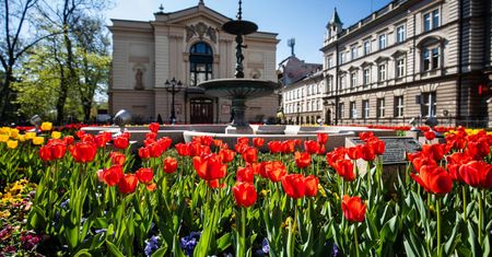 Bielsko-Biała. 30 tysięcy kwiatów odmieni miasto