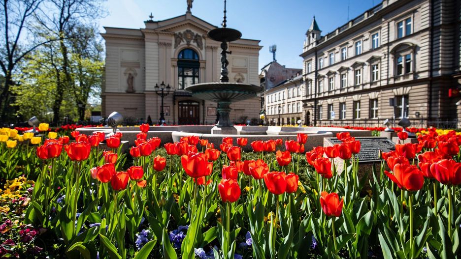 Bielsko-Biała. Już niedługo miasto zyska efektowną kwietną oprawę.