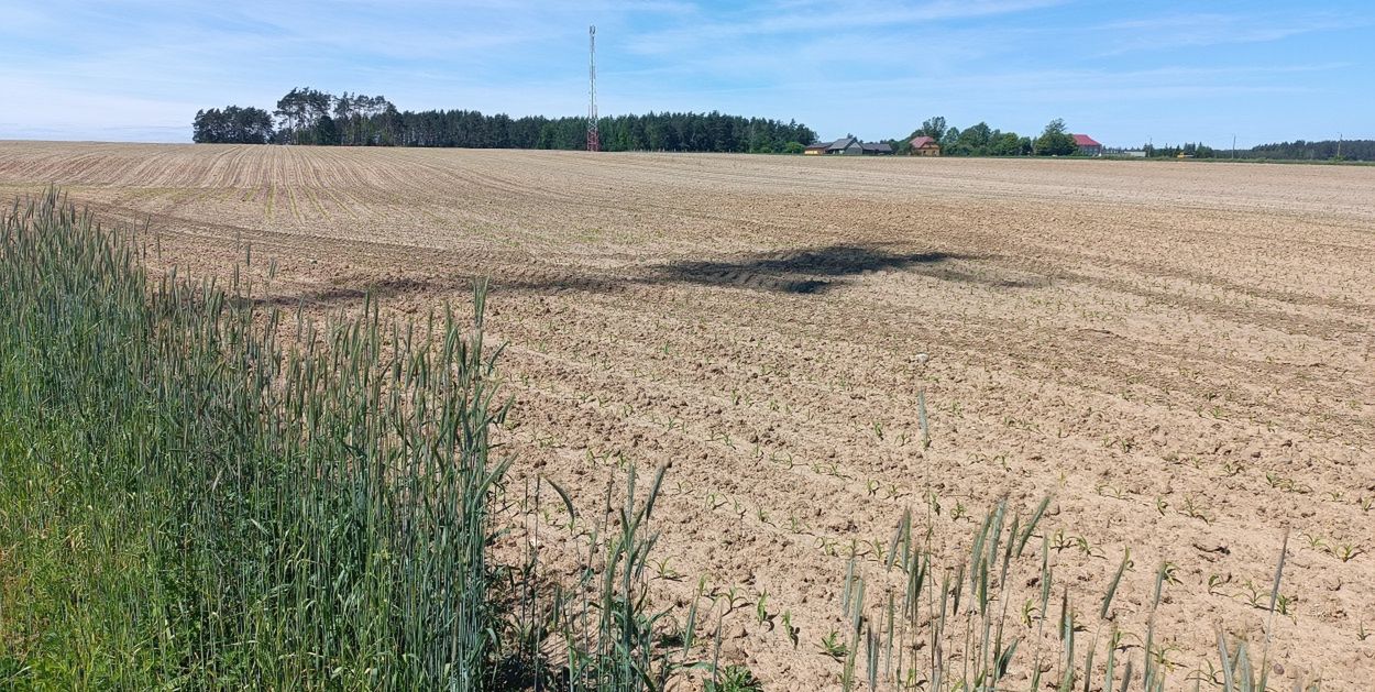 Kolno: W gminie podniesiono podatki od nieruchomości