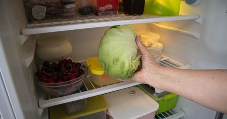 Nigdy nie przechowuj tak warzyw. "E. coli szybko się namnaża"