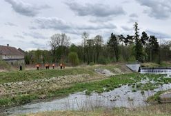 Nowogrodziec. Zaginięcie 3,5-letniego Kacpra. Policja wyznaczyła specjalną strefę