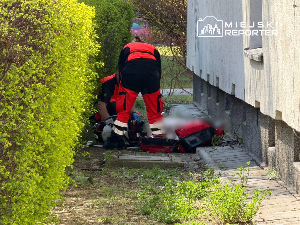 Ratownicy medyczni udzielają pomocy osobie leżącej na chodniku w otoczeniu zielonych krzewów.