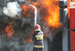 Pożary lasów w Wielkopolsce. W akcji 22 zastępy straży