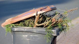 Gorzów Wlkp.: Deklaracje śmieciowe w sylwestra stracą ważność