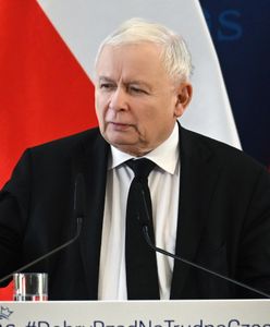 Kaczyński o kartoflach. "Wypowiedź na granicy absurdu"