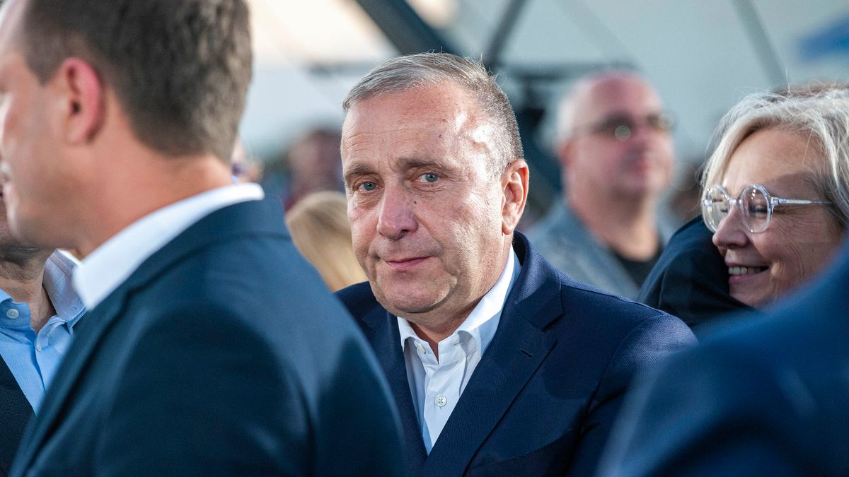 Newspix / 	GRZEGORZ KRZYZEWSKI/FOTONEWS  / Na zdjęciu: Grzegorz Schetyna