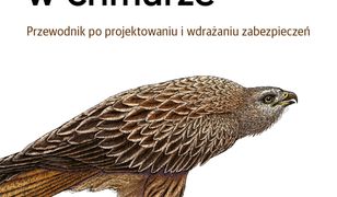 Bezpieczeństwo w chmurze. Przewodnik po projektowaniu i wdrażaniu zabezpieczeń