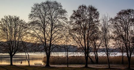 Pogoda w Olsztynie. Prognoza na środę, 26 lutego 2025. Stabilne warunki i umiarkowana aura