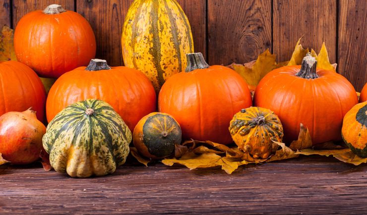 Dni Dyni - jesienny klimat w Centrum Janki