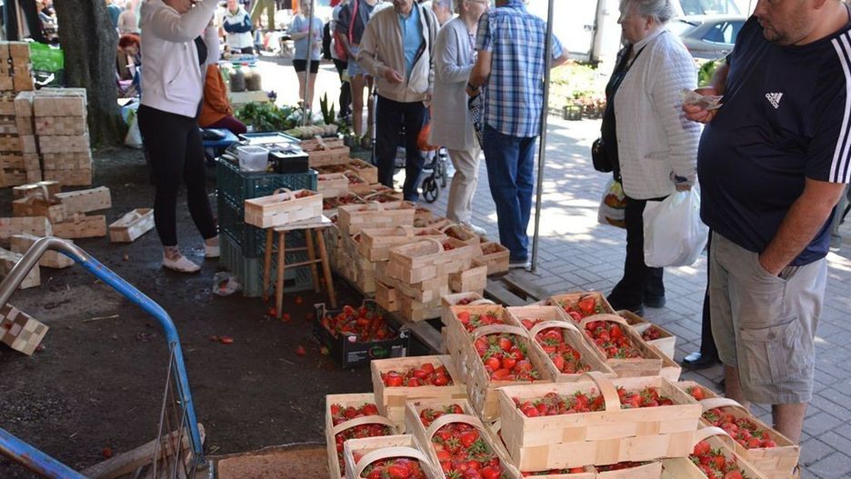 Sezon na truskawki w pełni, zaczął się wcześnie i podobno skończy się równie szybko. Zobacz ceny na kolejnych zdjęciach.