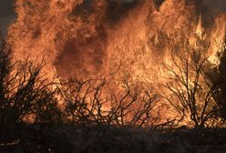 Francja: Aresztowano rodzinę podpalaczy. Pasja do ognia w genach
