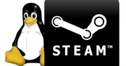 Gwiazdkowy prezent dla użytkowników Linuksa: beta serwisu Steam dostępna dla wszystkich