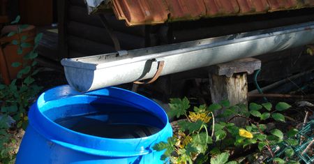 Zbieranie deszczówki może słono kosztować. Kto powinien mieć się na baczności?