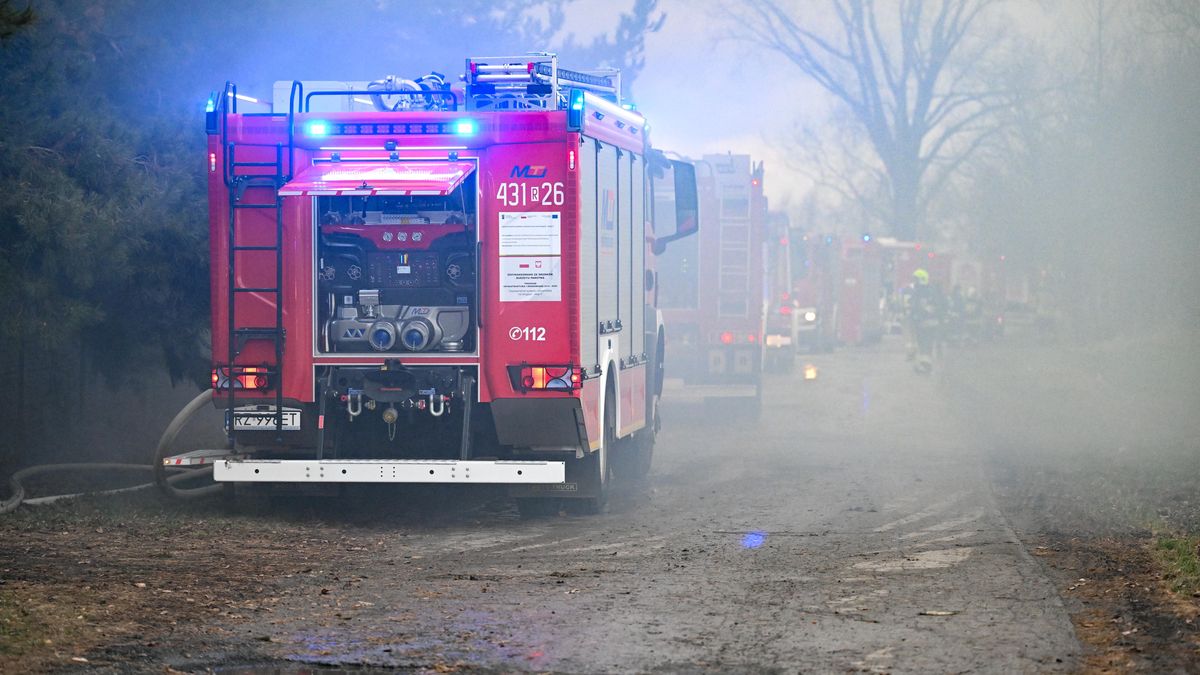 po�ar
Darek Delmanowicz
akcja stra�y po�arnej, by�a hala produkcyjna, dogaszanie, dym, gaszenie, interwencja, po�ar, stra� po�arna, stra�acy, walka z �ywio�em, zadymienie, zast�py sra�y po�arnej, w�z stra�acki, stra�ak