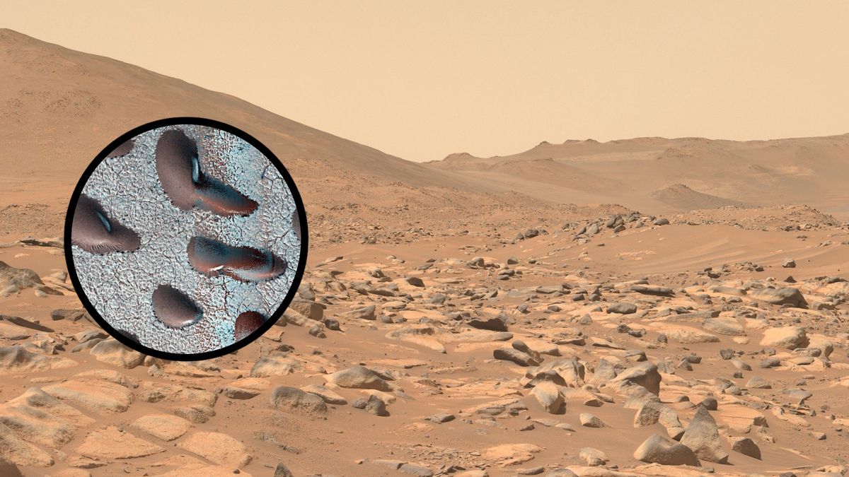 Woda na Marsie? Na planecie znaleźli wydmy pokryte lodem / NASA 