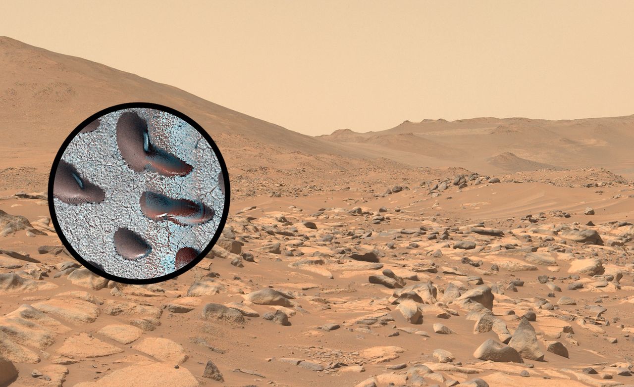 Water on Mars? Dunes covered with ice were found on the planet, which indicates possible earlier forms of life. Photo: NASA/JPL-Caltech/University of Arizona
