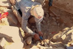 ''Latawiec pustyni'' sprzed 9000 lat. Przełomowe odkrycie naukowców w Jordanii