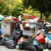 Jedzenie ze śmietnika. Moda czy potrzeba?