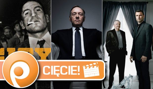 Cięcie ekstra: Najlepsze (i te nieco gorsze) nowe seriale 2013 roku
