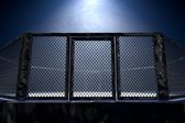 Sporty walki: UFC 318 - walka: Max Holloway - Dustin Poirier 3