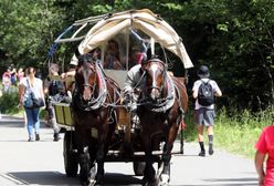 Żar leje się z nieba. Dla koni z Morskiego Oka to nie wymówka