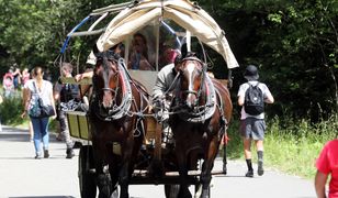 Żar leje się z nieba. Dla koni z Morskiego Oka to nie wymówka