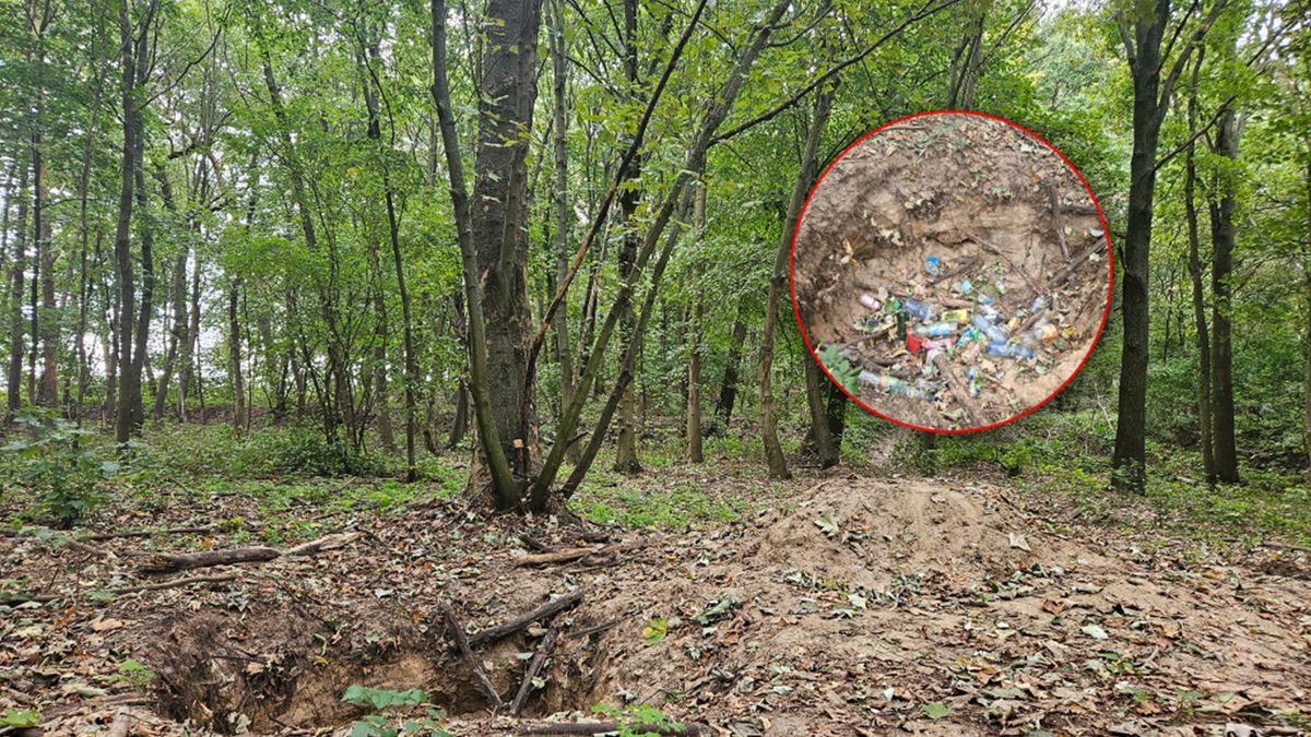 Nadleśnictwo opublikowało zdjęcia zniszczonego lasu.