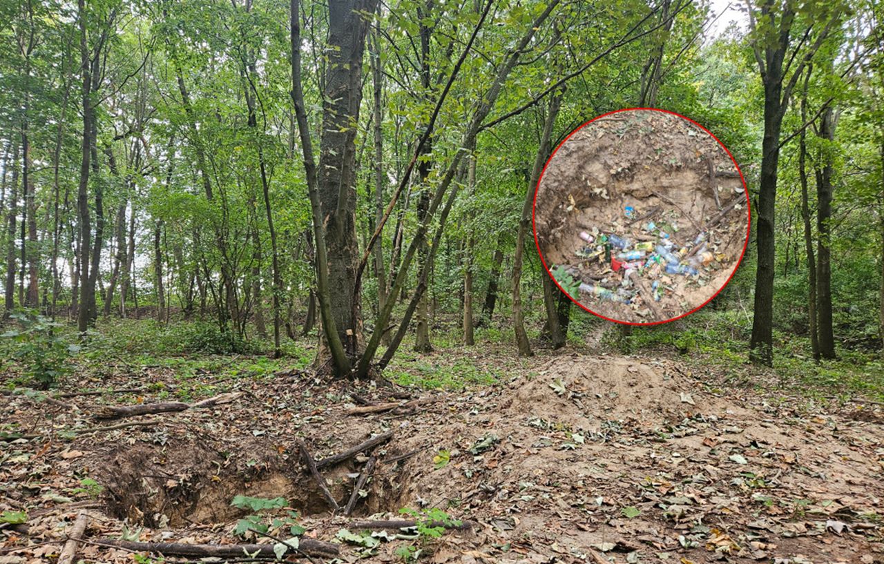 Niepokojący widok w lesie. Niszczą teren pochodzący z XIII wieku