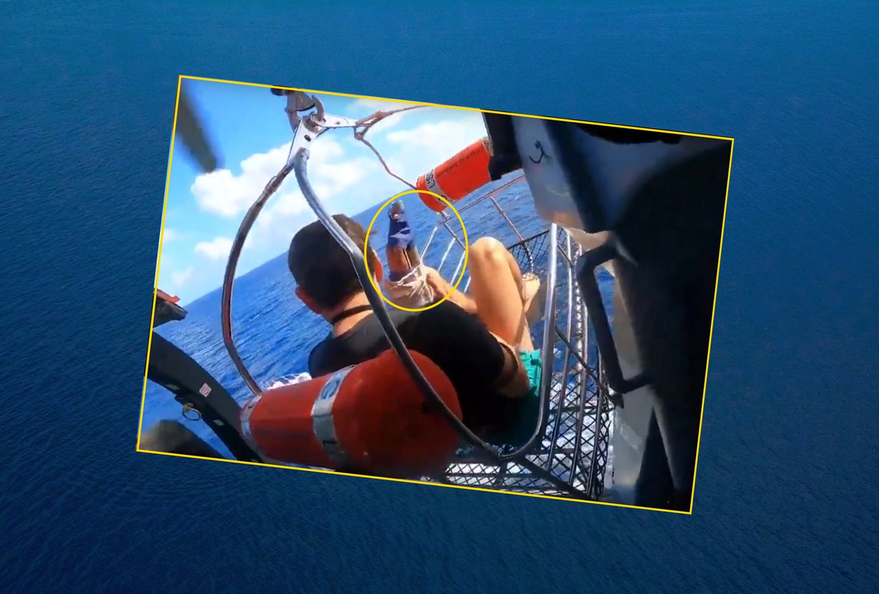 Atak rekina na Bahamach. Dramatyczne wideo z helikoptera