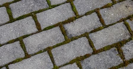 Wylej na kostkę. W całości "wyżre" brud i mech