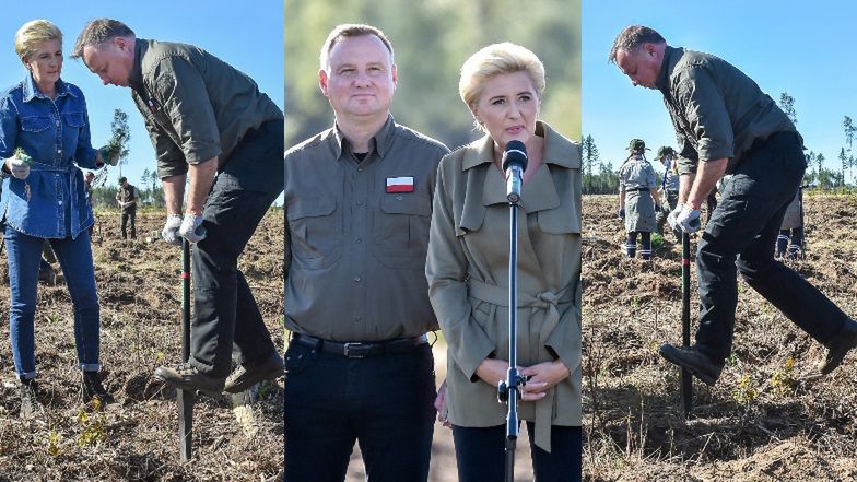 Dzierżący szpadel w dłoniach Andrzej Duda z zakasanymi rękawami sadzi drzewa z małżonką Agatą (ZDJĘCIA)