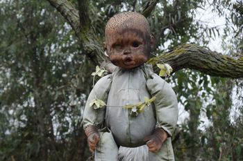 Tysiące lalek na wyspie. Wszystkie są zniszczone