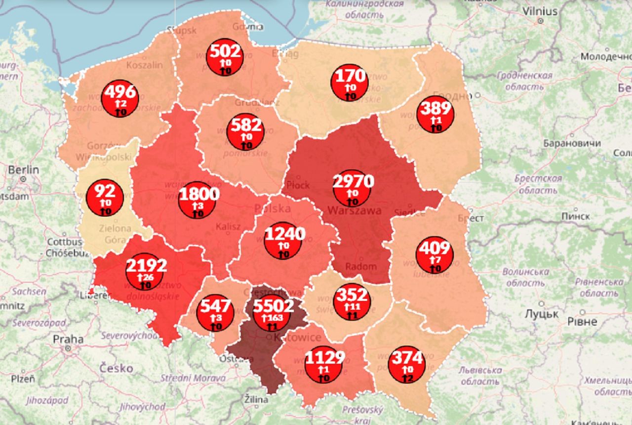 Koronawirus w Polsce. 217 nowych przypadków. Blisko 930 ofiar śmiertelnych [Aktualna mapa]