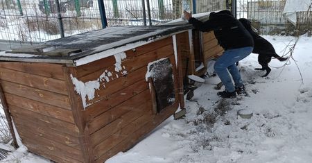 Odkrycie na terenie firmy w Gdańsku. Ta historia łamie serce