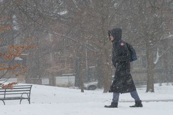 Wir polarny przyniesie do Polski zimę. Śnieg jeszcze w listopadzie