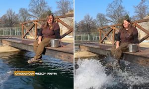 "Śmigus-dyngus" we wrocławskim zoo. Zwierzę zrobiło opiekunce psikusa
