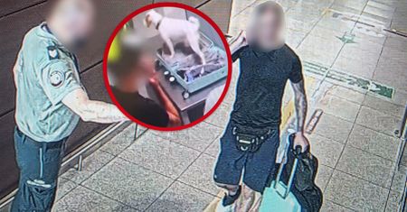 Zszokował lotnisko w Gdańsku. Niebywałe, co wykrył skan RTG